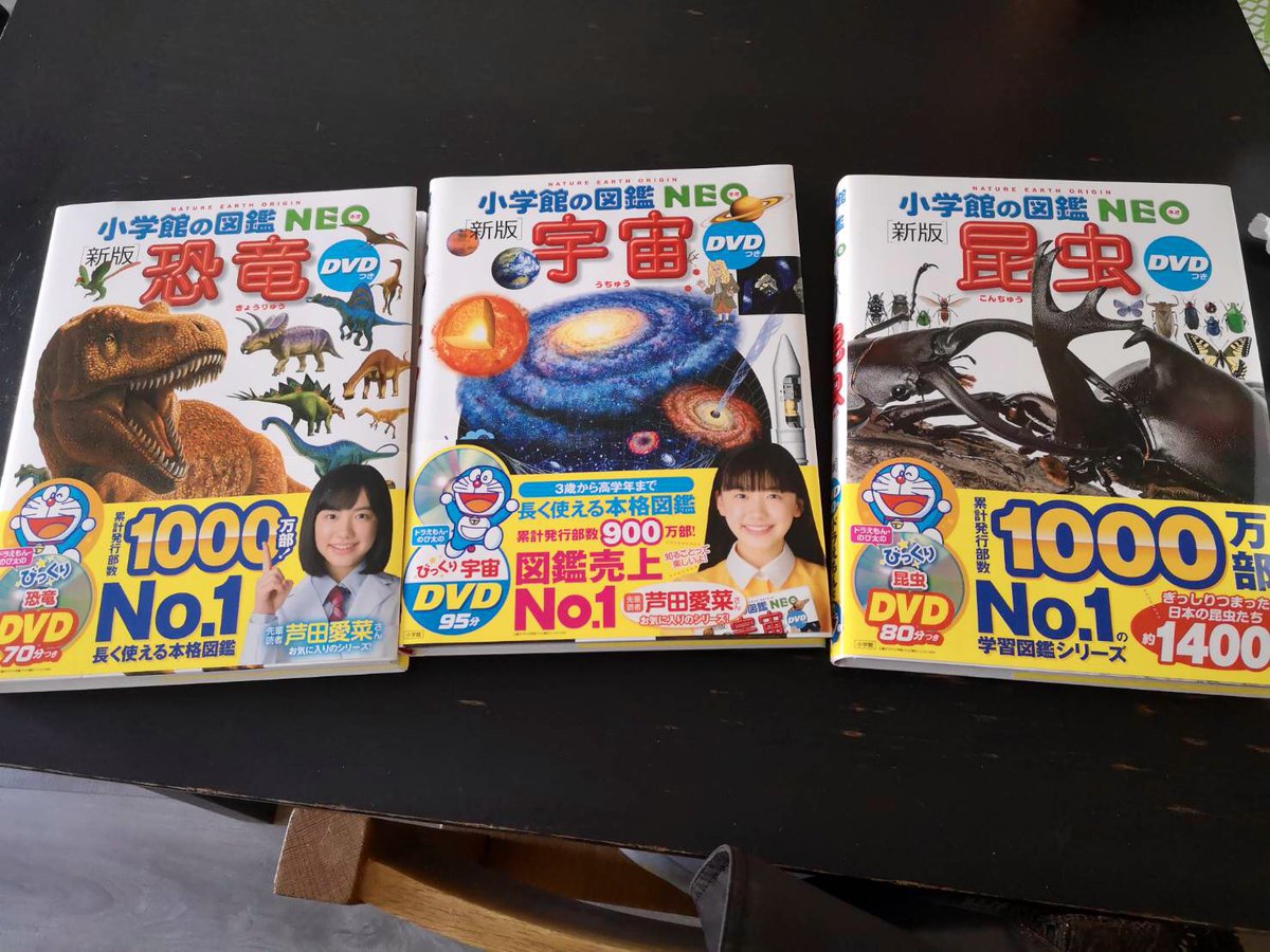 あこルース 子供用の図鑑を買った話まとめ 昆虫も今は無理でもいずれ読むようになるかもしれないし次男はむし大丈夫かもしれない 小学館の図鑑neoはやっぱり良いです 一時帰国した時に少しずつ揃えたい 今日本帰れないけど 漫画が読めるハッシュ あこルース 子供用の図鑑を買った話まとめ 昆虫も今は無理でもいずれ読むようになるかもしれないし次男はむし大丈夫かもしれない 小学館の図鑑neoはやっぱり良いです 一時帰国した時に少しずつ揃えたい 今日本帰れないけど 漫画が読めるハッシュ