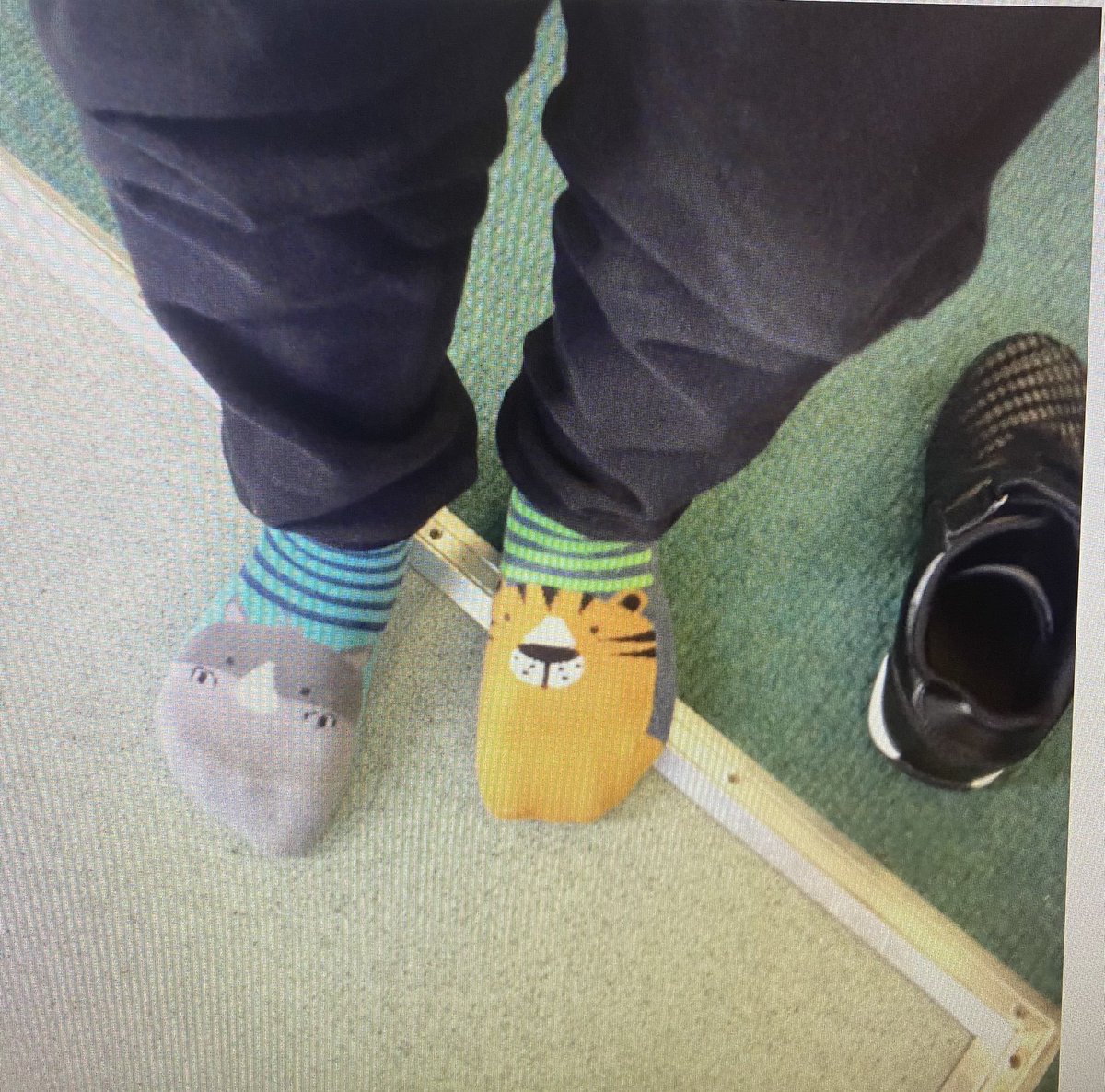 Highlands Primary School tweet media