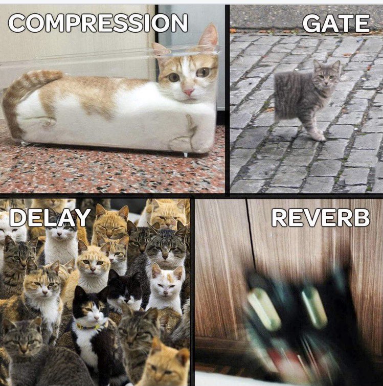 Lena the Hyena tweet media