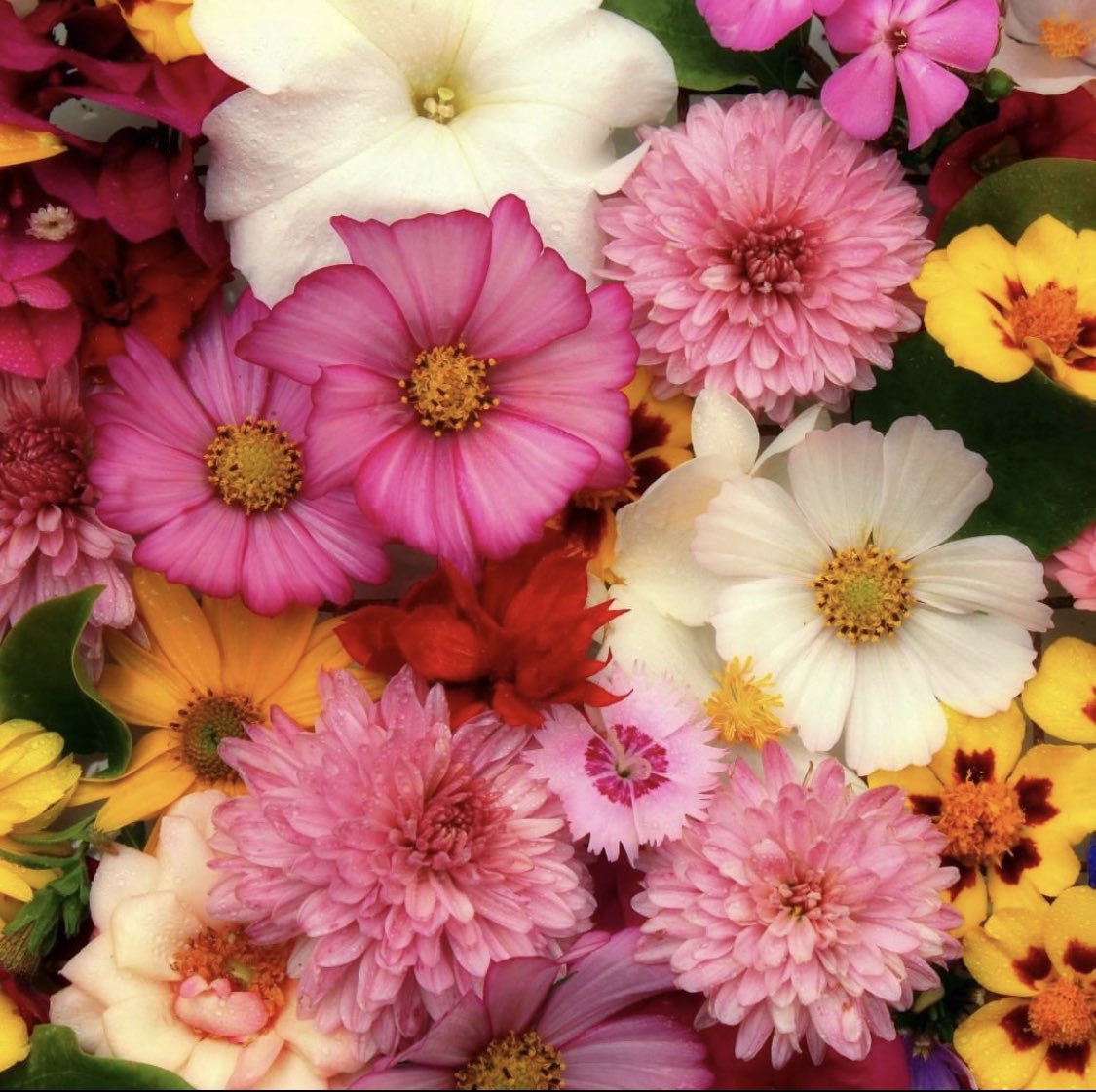 Interflora Italia tweet media