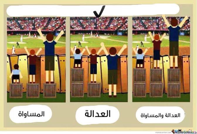 Rauf_online's tweet photo. @Noha_Mahfouz4 https://t.co/KNVg39qqIh
