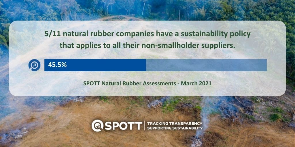 ZSLSPOTT's tweet photo. NEW: Less than half of SPOTT-assessed natural rubber companies have a #sustainability policy that applies to all their non-smallholder suppliers. All our data is freely available on SPOTT: https://t.co/kEyns9Lw5k

#SupplyChain #transparency https://t.co/VE5QfE1xsH