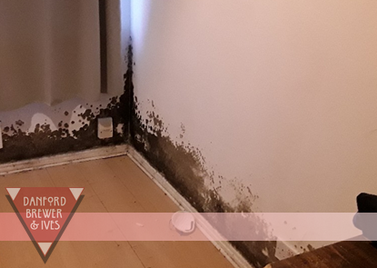 dbi_ltd's tweet photo. Is black mould appearing in your property? 
If so, this could be a sign of #condensation. Why not head over to our website and check out our blogs - https://t.co/mlPB0eNbqH! 
We have a variety of blogs which may contain the answer to your questions about the #condensation

(1/2) https://t.co/0p8s3QywUc