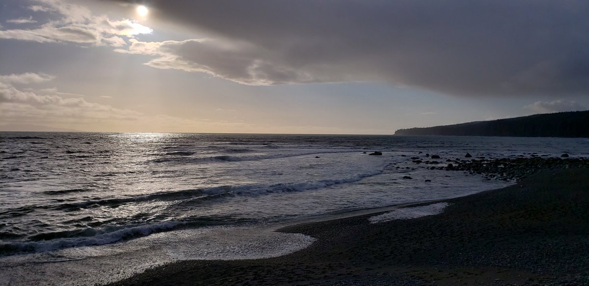 IsleOfDogs's tweet photo. March 22, 2021.  The evening sun at #SombrioBeach. #WestCoast #VancouverIsland #BritishColumbia #Canada #islandcottage https://t.co/9jHKvgqYrY