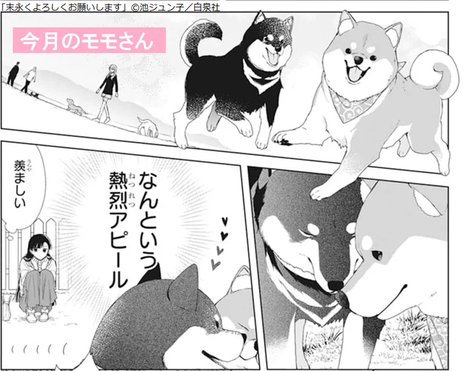 ふんすっ✨
(ララ5月号本日発売📚
輝さん企画「母の日慰安旅行」で
温泉におでかけしてきました!
モモさん初めての遠出にわくわくです✨
お友達がたくさんできましたよ🐾
輝さんも清水先生と仲良くなれましたかね?)

#LaLa5月号
#末永くよろしくお願いします
#末よろ
#池ジュン子
#飼い犬モモさん 