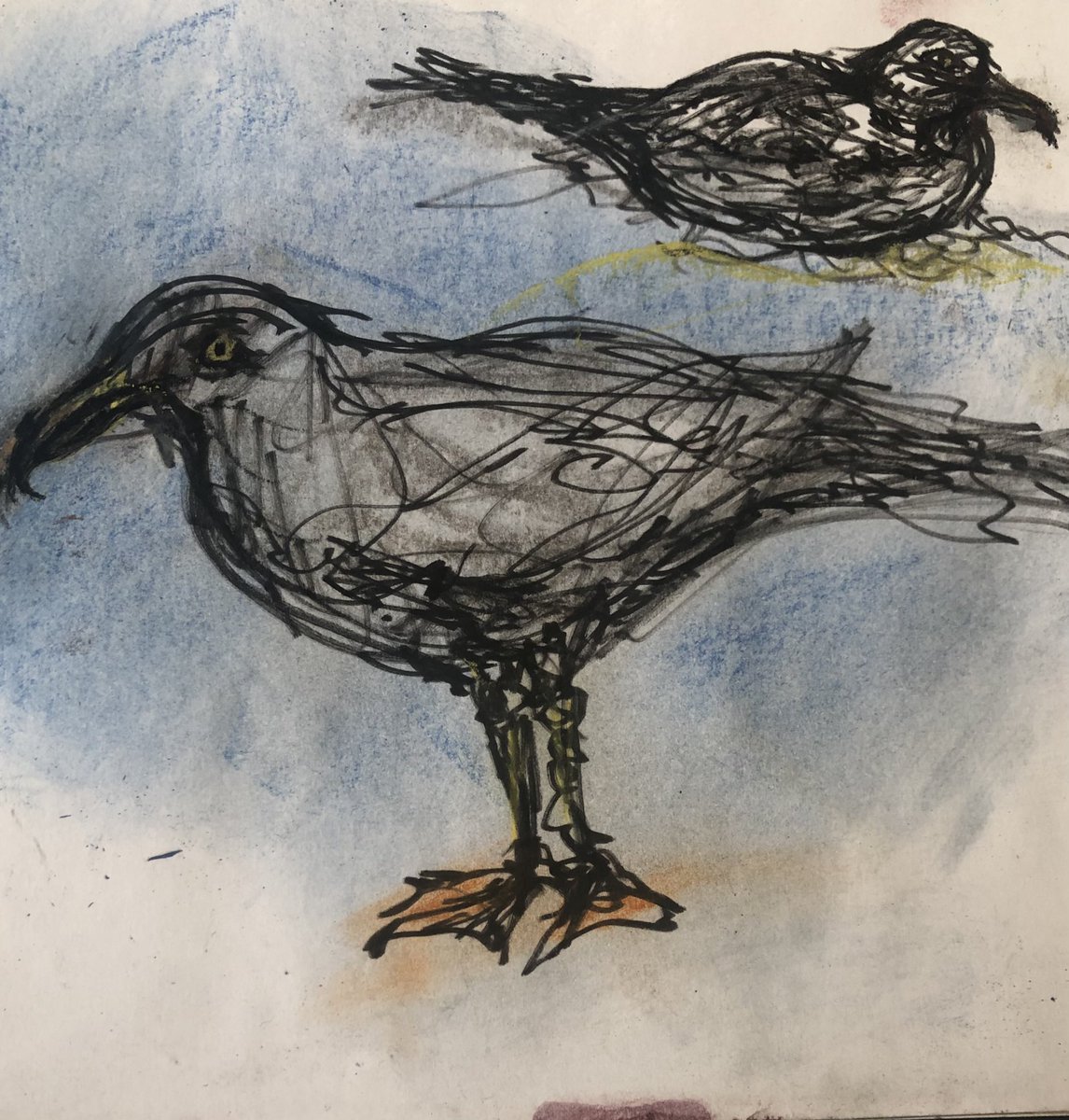Hooper1Ma's tweet photo. #mashedup #drawingoftheday #seagull #beachlife #artislife #lifeisart #enplienair @womensart1 @arestlessart @BBCCountryfile @ryeharbour_NR @OracleSeagull @an_artnews @artromneymarsh @HOTnewsHastings @hastingsonline @HastingsObs https://t.co/v959D3CXUa