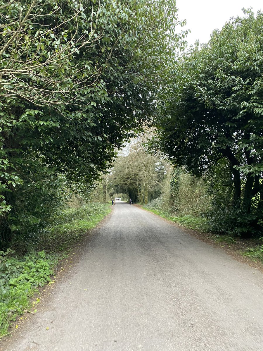 The trees may not be socially distant but the people are! Get out and get active on a walk up the wood today #100daysofwalking #5kmfromhome #SpringTime 
#community #MentalHealthMatters #Killeagh #Cork