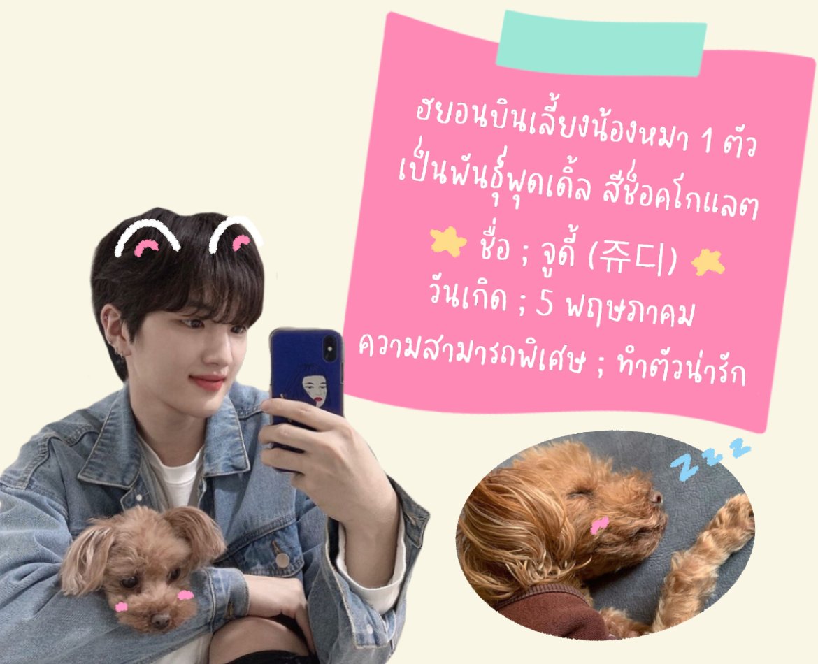 ๐๐๐๐๐๐๐๐๐๐๐ ! ๐ tweet media
