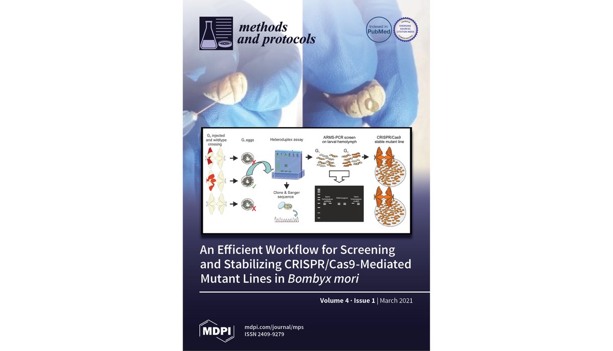 MPs_MDPI's tweet photo. The new #issuecover comes from An Efficient Workflow for #Screening and #Stabilizing #CRISPRCas9-Mediated #Mutant Lines in #Bombyx mori by Daniel Brady
 et at. @danielbradyis @CinchronITN @MSCActions @DiBio_UniPD @CREA_Ricerca
👉https://t.co/Z7lhVvX8AZ https://t.co/igYNeYCLYk