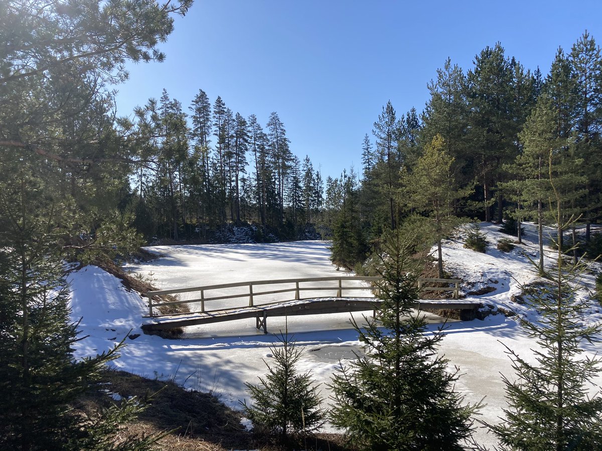 Mārtiņš Kīns (@martins_kins) on Twitter photo 