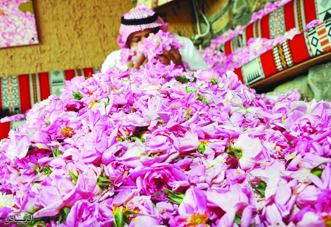 "دارة الملك عبدالعزيز" تخصص جائزة لأفضل دراسة تاريخية وابتكار يدعم زراعة الورد الطائفي