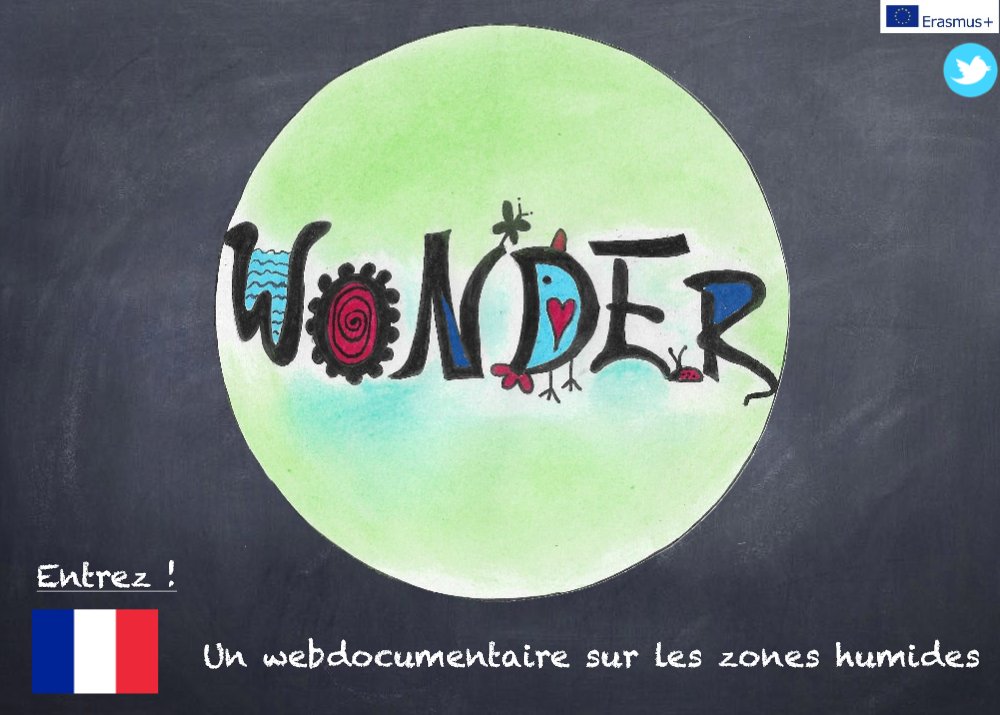 WONDER_erasmus's tweet photo. Le projet Wonder arrive à son terme. Nous sommes heureux de vous présenter notre web documentaire qui marque la fin de cette belle aventure au @ClgBarbey  
En français : https://t.co/XhdH7k4SLQ
En anglais : https://t.co/FMELCEbLCA
#erasmus #ramsar #Erasmusplus #Manche #tourbiere https://t.co/lweEySigC7