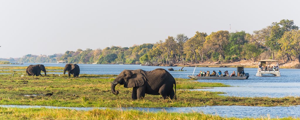 Chobe_Marina's tweet photo. Cruise along the calming Chobe River and witness the incredible wildlife and beautiful sights onside. 
 
With a beautiful river location, Chobe Marina Lodge is the ultimate holiday makers dream. 
 
Bookings and enquiries : res1@chobemarinalodge.com | +267 625 2221 https://t.co/NodL99ugW9