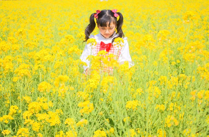 桃山こまちのTwitter画像30