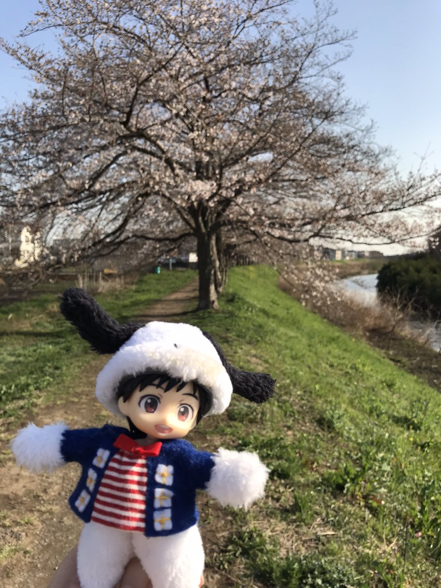 クローバー 画像 最新情報まとめ みんなの評価 レビューが見れる ナウティスモーション 33ページ目