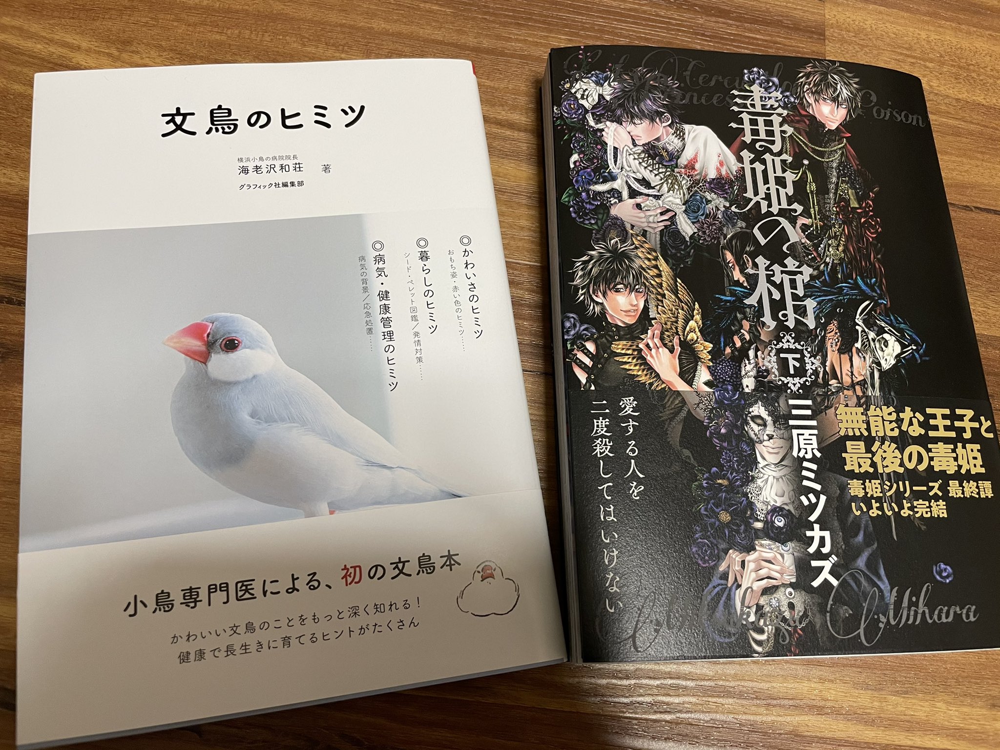 Kein 紀伊國屋さんから送った料理本 Amazonでポチった文鳥のヒミツと毒姫の棺届いた ゆっくり読もう Kein 紀伊國屋さんから送った料理本 Amazonでポチった文鳥のヒミツと毒姫の棺届いた ゆっくり読もう