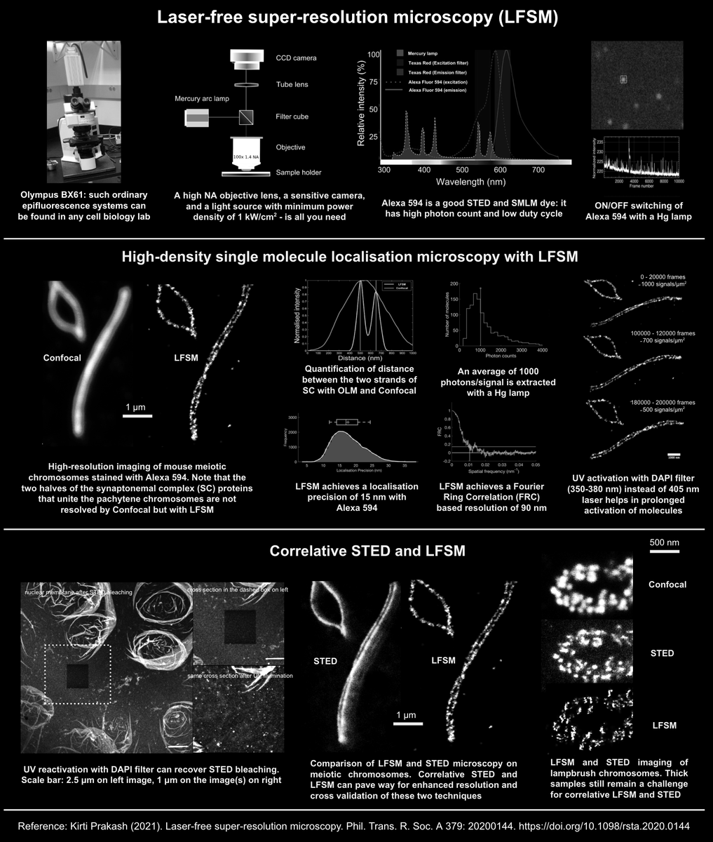 kirtiprakash25's tweet photo. Who's coming to #FOM2021?
https://t.co/76cfq2kW9s
We have a few talks/posters on MINFLUX, cryo-Inverterscope (w @linkamstages @AuroxLtd) and laser-free super-resolution microscopy (#LFSM)
#MINFLUX session with @Abberior ==🔥🔥
https://t.co/QlM8Ns0vRO
Lots of new analysis+data! https://t.co/uQClM0eCR6