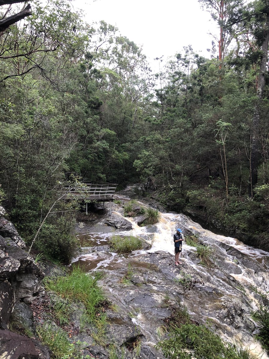 danno085's tweet photo. Nice run in the run on the Mt Coot-tha trails #mint #brisbane #running #rain https://t.co/RuXGDGV8tB