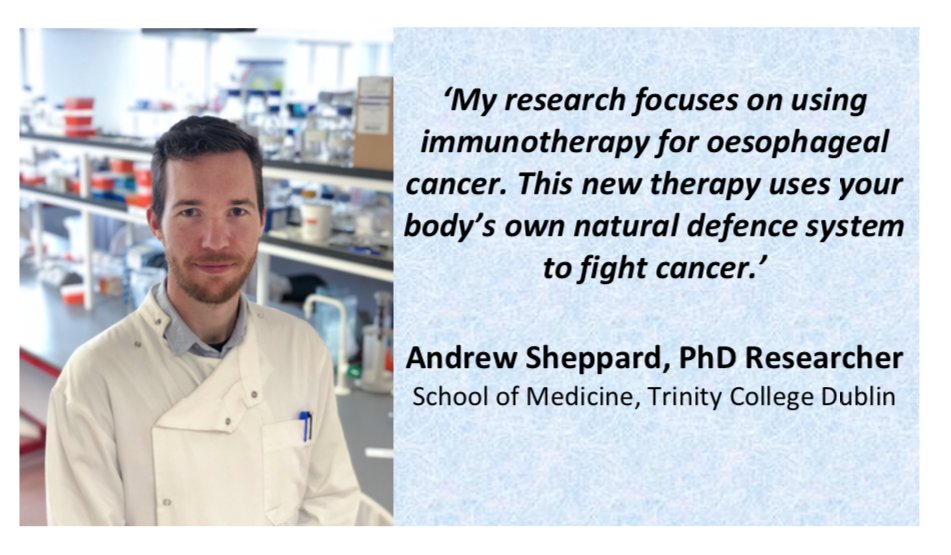 TrinityMed1's tweet photo. Meet our Irish Research Council-funded PhD scholar Andrew Sheppard @Science_Andrew who is exploring new immunotherapies for those with oesophageal cancer, supervised by @JoanneLysaght. #cancerimmunotherapy #immunotherapy #LoveIrishResearch 
Read more here: https://t.co/i6tCN43kSu https://t.co/CyqPdix61T