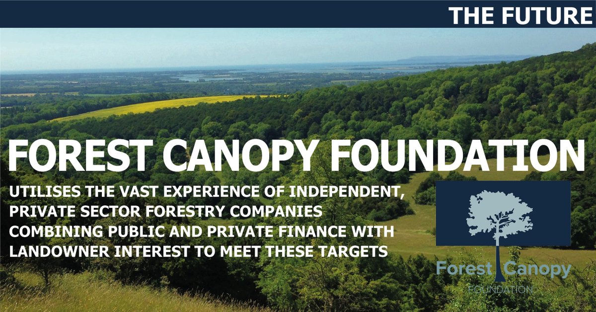 ForestCanopyFoundation tweet media