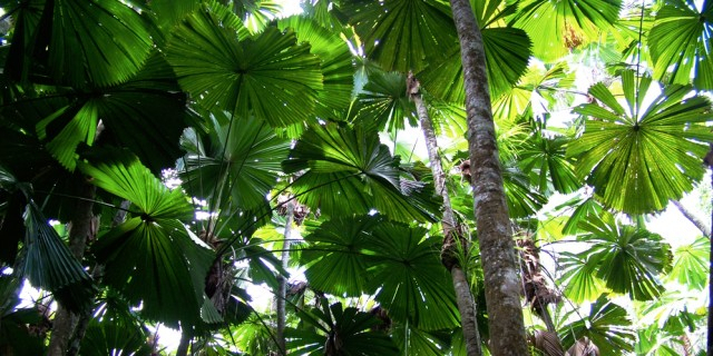 fuel_collective's tweet photo. Thanks Max Latimer! Together we've provided 1 square meter of rainforest protection https://t.co/PKhLxg4PcD #businessforgood #b1g1 #businessgiving #buy1give1 #impact #joyofgiving https://t.co/7xnp8WdDdJ