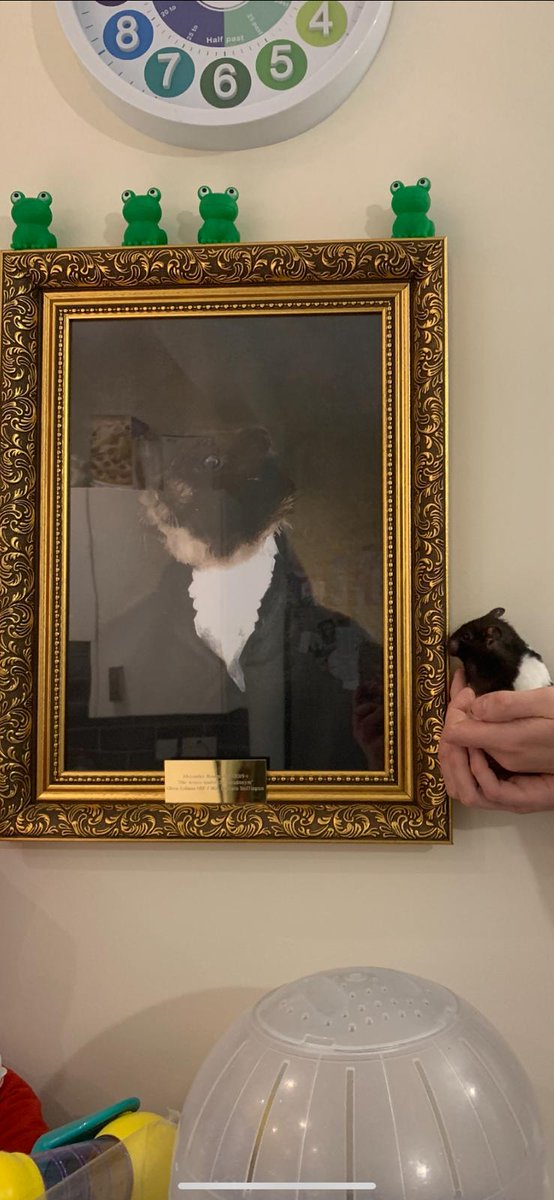 Alexander Hammyton admiring her new portrait in between founding a new financial system and managing governments funding of state debt.

We felt it was over the top but that's one persistent hamster.

Thank You <a href="/Brotacon/">Brotacon</a> for the art work.

#alexanderhamilton #hamster #pets