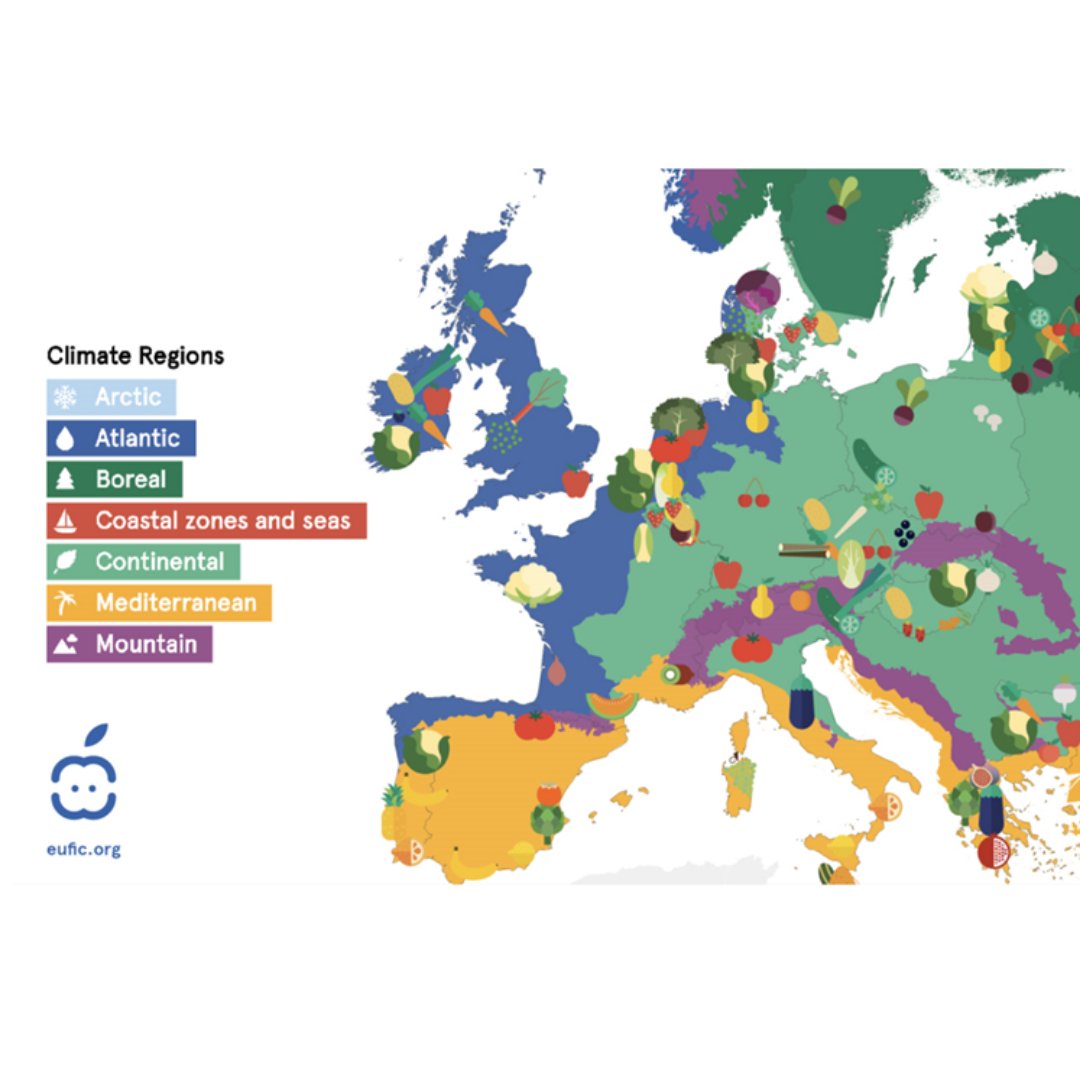 Zoe Griffiths RNutr tweet media