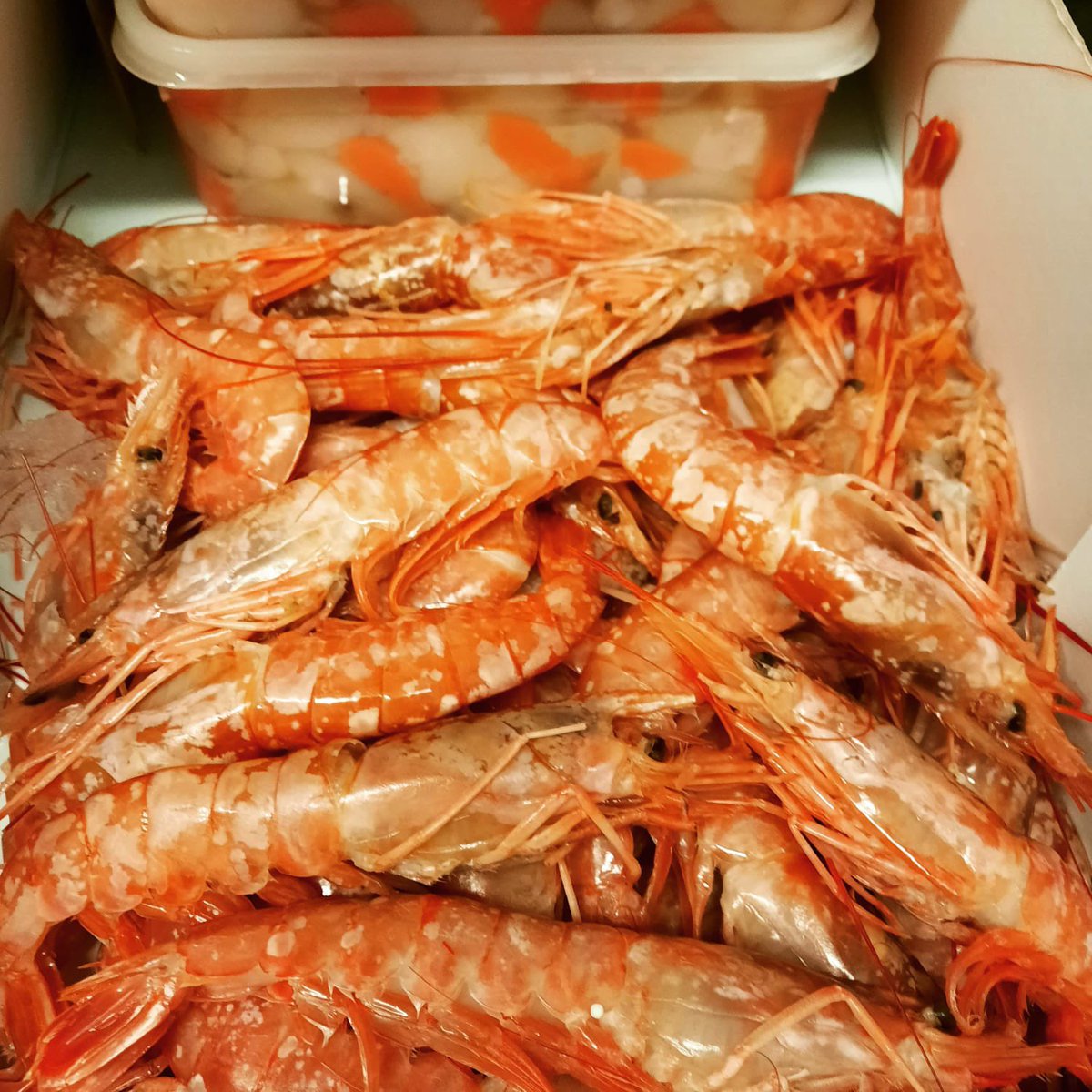 E Ashton Fishmongers (@ashtonscardiff) on Twitter photo 