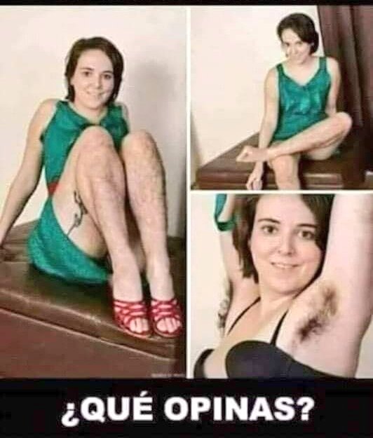 GustavoIbáñezPadilla tweet media