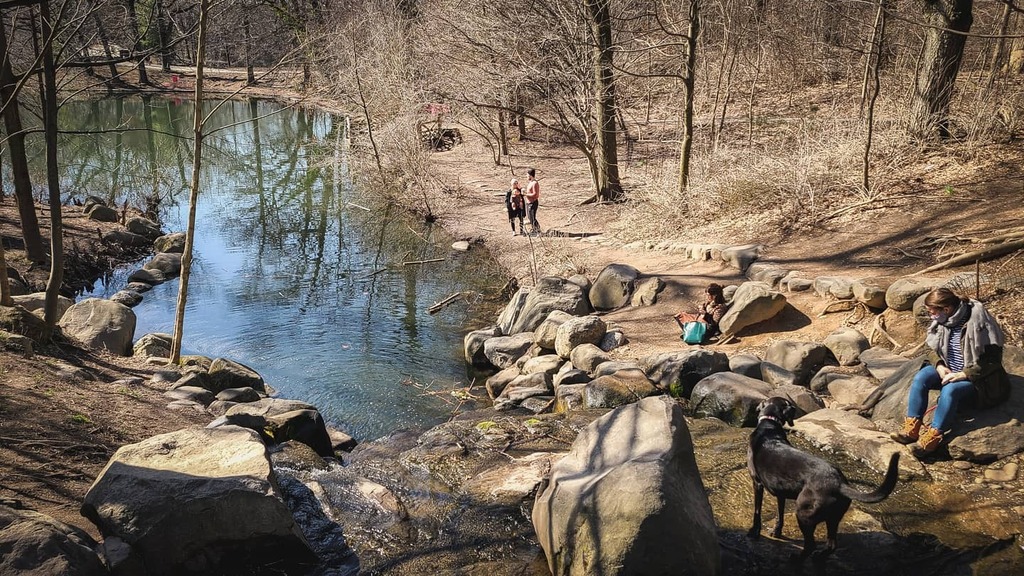 Sproxno's tweet photo. Behind the waterfall in prospect park.
.
.
.
.
.
#waterfall #prospectpark #brooklyn #nyc #nyhiking #nyhiking #getout #findyourtrail #instahike #cityhiking #cityhike #spring #lake #prospectparklake #whileiwasoutside #naturephoto #park #nycparks #parkslope… https://t.co/nc6qKVQOPI https://t.co/AEC1KhpNjp