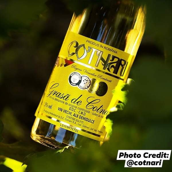 oenocointl's tweet photo. Romania’s Grasa de Cotnari, is Tokaj’s rival regarding ‘the king of wines and the wine of kings’ @VinuriCotnari @cotnari #romania #grasadecotnari #cotnari #winetasting #wine #brandadvocacy #brandloyalty #marketing #pr #winemarketing #winepr #businessconsulting #wineconsultant https://t.co/AXcW2kpYhR