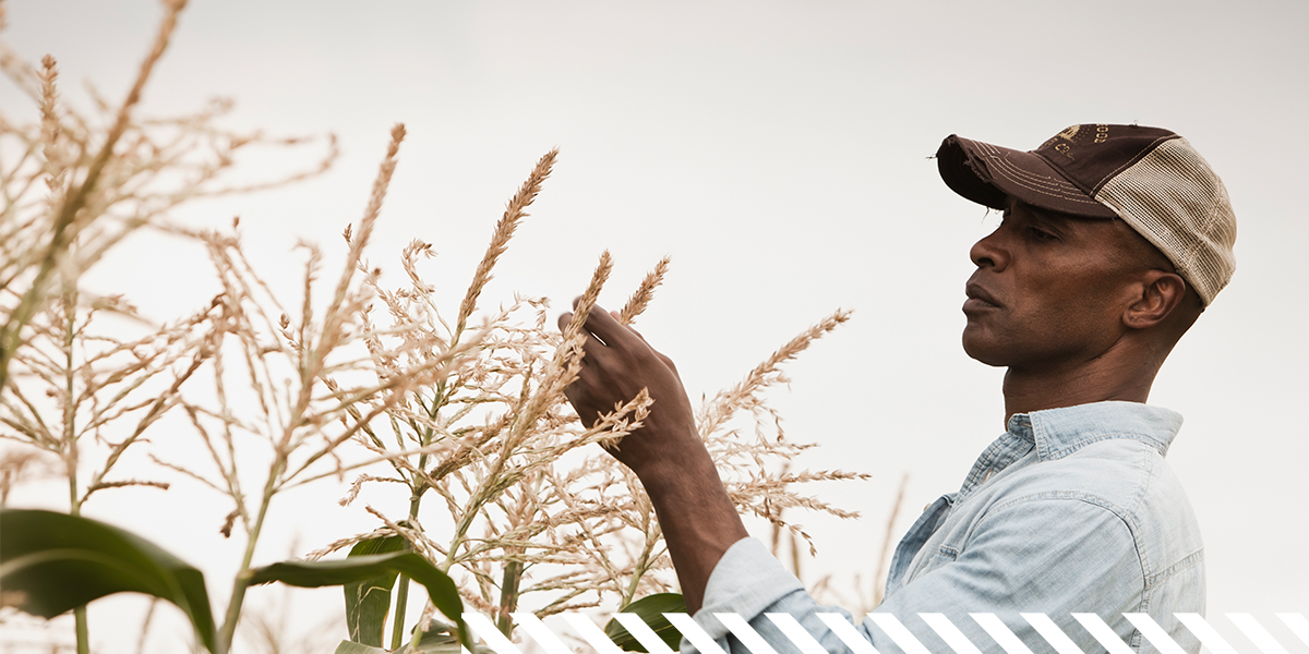 swansonrussell's tweet photo. You were vital before you became “essential.” To all on the frontline who help feed, clothe and fuel the world, thank you. Swanson Russell is proud to support ag across the globe during National Ag Day – and every day. https://t.co/rDC3cW4kZq