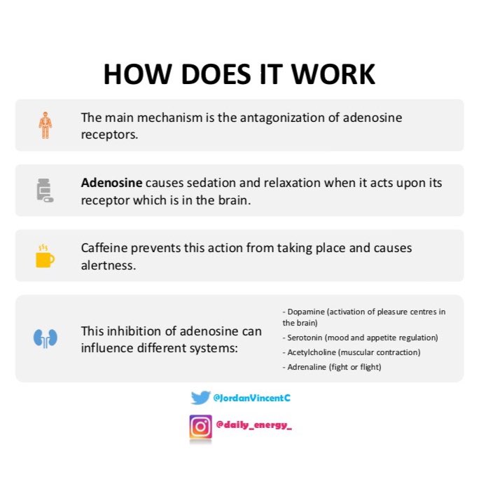 Jordan Chapman tweet media