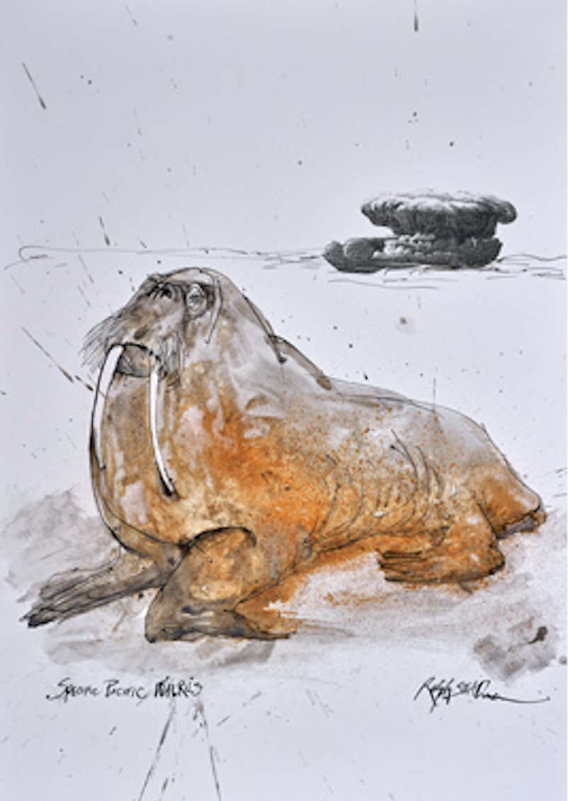 SteadmanArt's tweet photo. About as beach ready as this distinguished chap!
@gonzovation #thesunisout #thinkingaboutsummer #ralphsteadman #criticalcritters

https://t.co/ZZGxbOZ3Dr https://t.co/OdWLd9zXpb