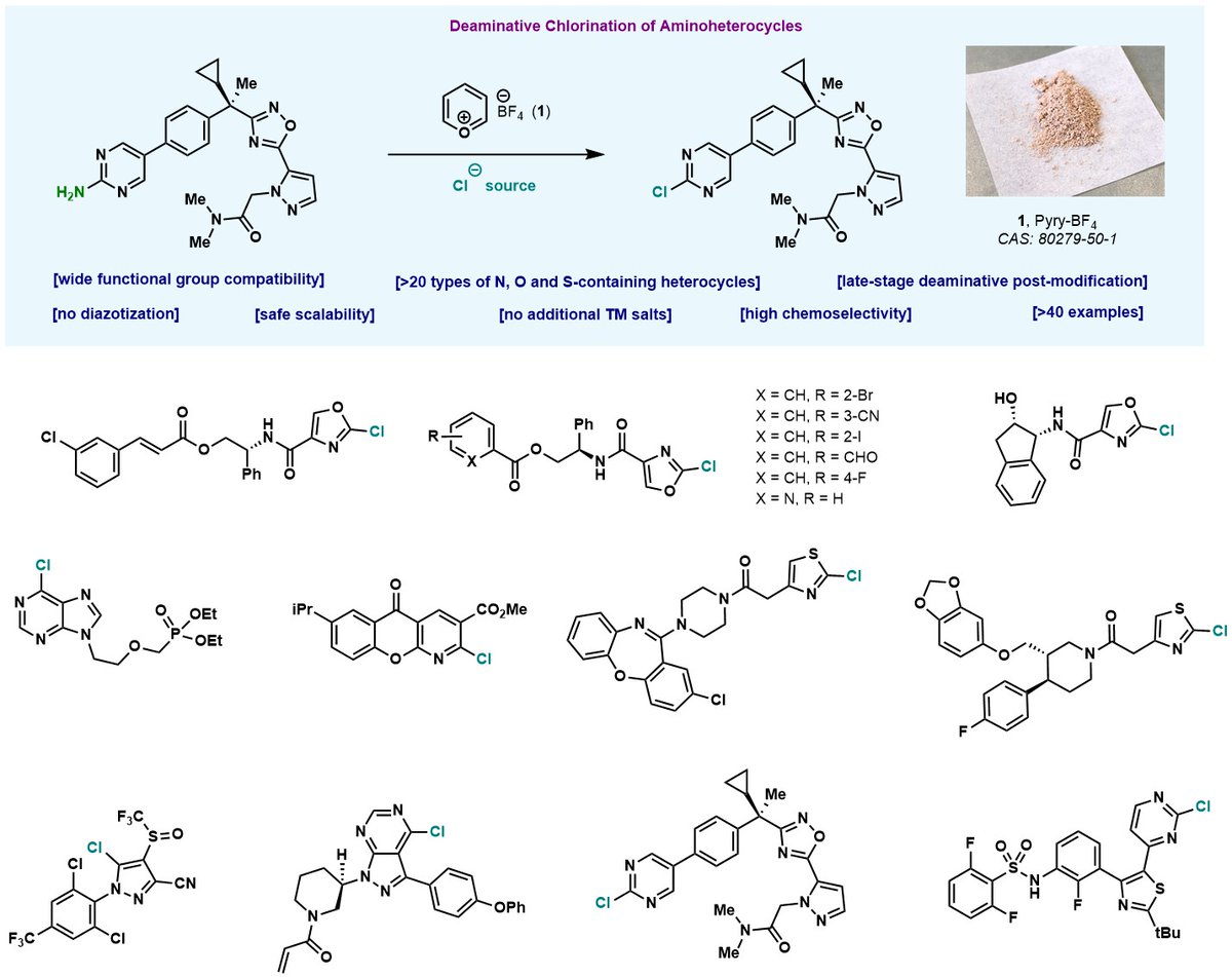 Deaminative Chlorination of Aminoheterocycles: bringing the best of the Vilsmeier disconnection to late-stage. 5- and 6-member rings. &gt;20 heterocyclic scaffolds. Sneak peak of what <a href="/ChemRxiv/">ChemRxiv</a> chemrxiv.org/articles/prepr… <a href="/ClementGhiazza/">Clément Ghiazza</a>, Teresa and Alejandro!