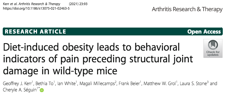 LabSeguin's tweet photo. Excited to share our most recent publication - excellent work lead by Dr. Geoff Kerr investigating obesity-induced disc degeneration.  With a dream team of collaborators like this, we get to ask important questions and have fun! https://t.co/59fqDhWdCE