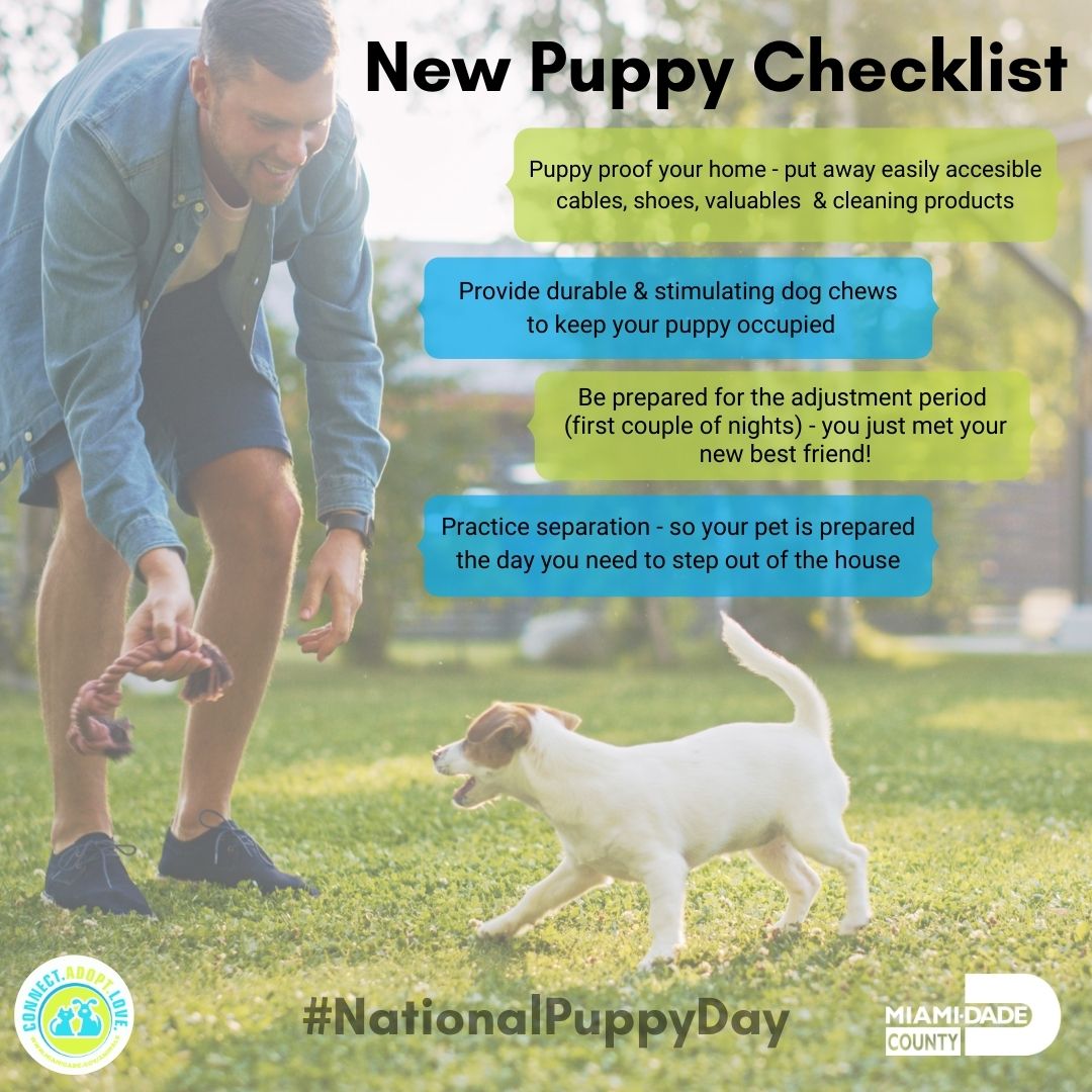 AdoptMiamiPets's tweet photo. Happy National Puppy Day!
Puppies are the cutest, but welcoming a new puppy to your family can a challenge.  It requires patience, discipline, and training for both you and the puppy 😀.  Remember it's a lifetime commitment. 
Here are some helpful tips for new puppy pawrents. https://t.co/oABUJSERyZ