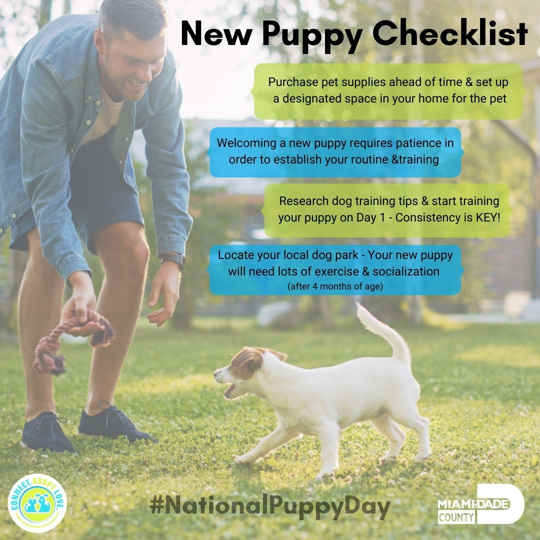 AdoptMiamiPets's tweet photo. Happy National Puppy Day!
Puppies are the cutest, but welcoming a new puppy to your family can a challenge.  It requires patience, discipline, and training for both you and the puppy 😀.  Remember it's a lifetime commitment. 
Here are some helpful tips for new puppy pawrents. https://t.co/oABUJSERyZ