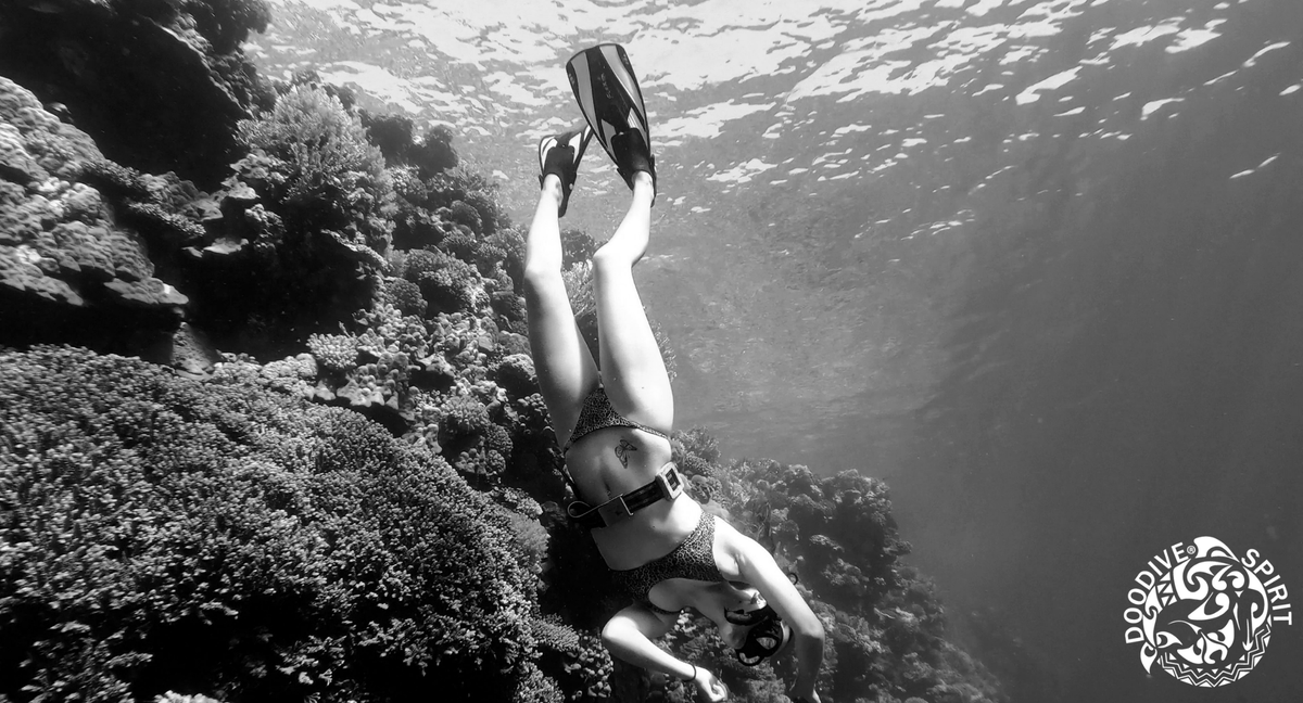 DOODIVE1's tweet photo. Old style π€ β
Soon, the Doodive Team will be back underwater to record new "Visit & Rate" episodes ! Can't waiiiiiit to share this with you !! β
β
π https://t.co/67lYBD7i7G
#doodive #scuba #scubadiving #freediving #oceanlovers https://t.co/KIH8jzx4zI