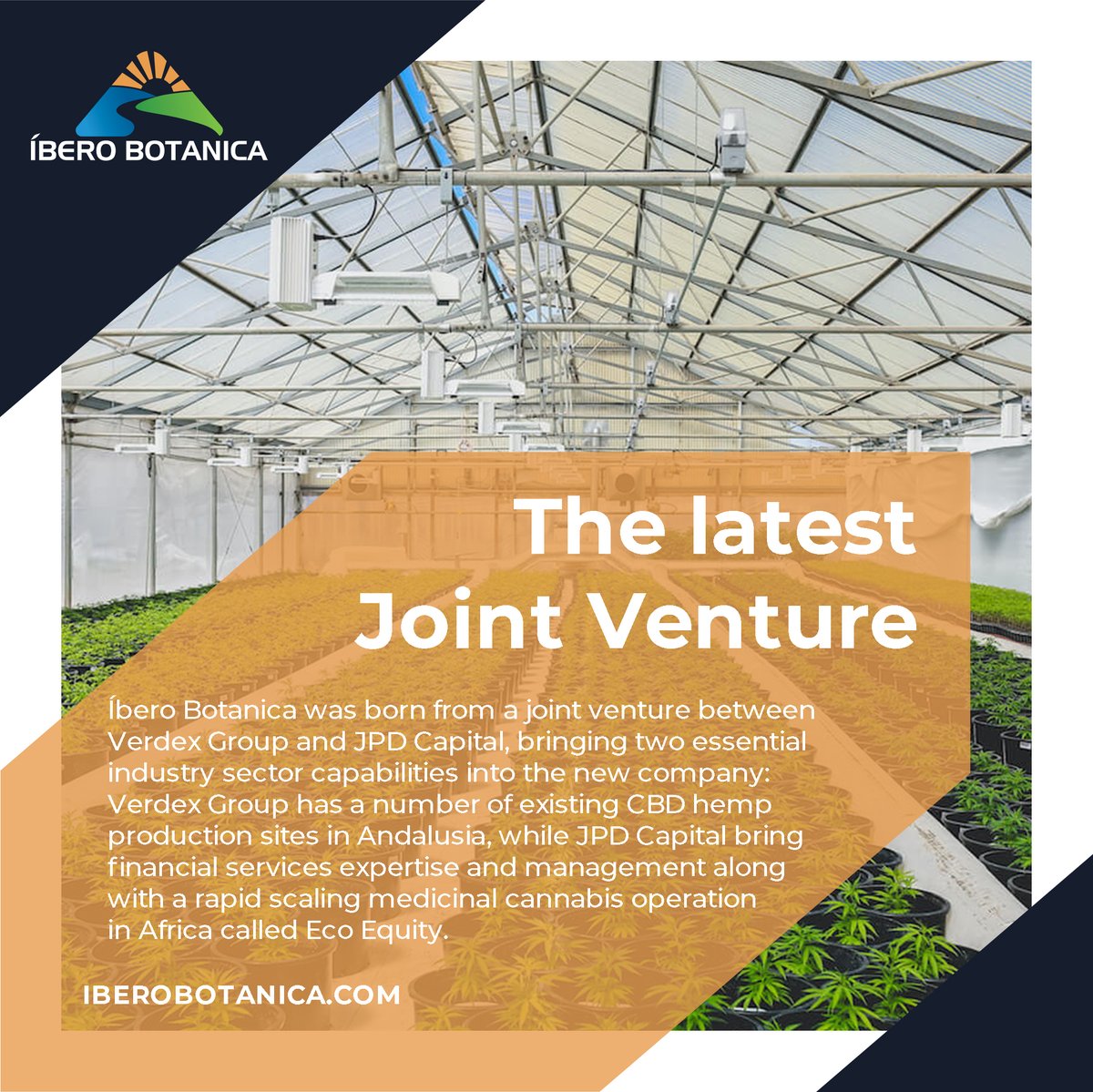 IberoBotanica's tweet photo. The beauty of a joint venture!
Learn more about Ìbero Botanica and the companies behind its formation by visiting:
https://t.co/TGvcOLY8Dt

#cannabiscultivation #jpdcapital #jointventure #cbd #hemp #thcflower https://t.co/MLmvRG1EV4