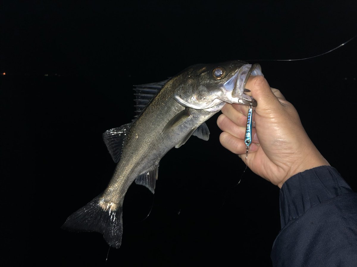 セリアマイクロジグ