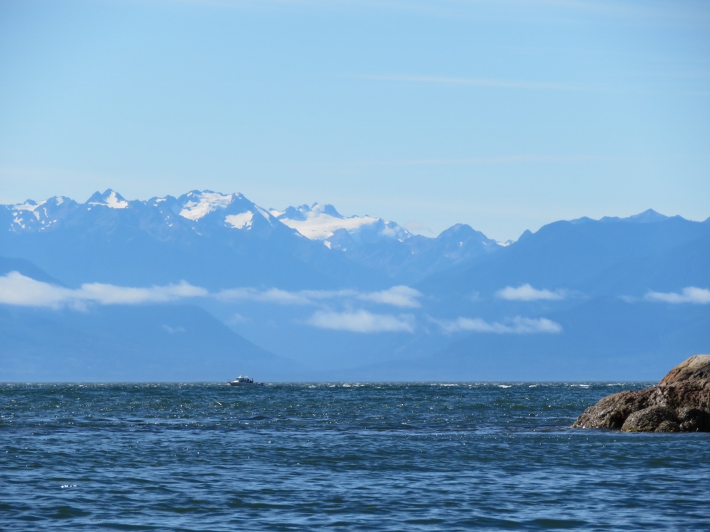 VicWaterfront's tweet photo. #yyj #beautiful #freshair https://t.co/FjFzsAmB8z