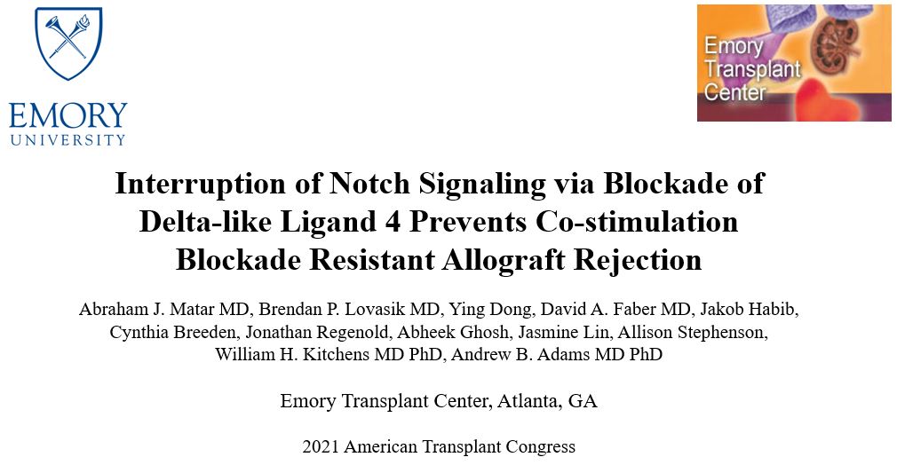 Emory Surgery (@emorysurgery) on Twitter photo Congrats to Dr. Abe Matar & his mentor Dr. Andrew Adams! Dr. Matar received an <a href="/ATCMeeting/">AmericanTransplantCongress</a> Young Investigator Award for his abstract on the βimpact of NOTCH pathway blockade in preventing Belatacept resistant rejection in a non-human primate kidney transplant modelβ #transplant Congrats to Dr. Abe Matar & his mentor Dr. Andrew Adams! Dr. Matar received an <a href="/ATCMeeting/">AmericanTransplantCongress</a> Young Investigator Award for his abstract on the βimpact of NOTCH pathway blockade in preventing Belatacept resistant rejection in a non-human primate kidney transplant modelβ #transplant