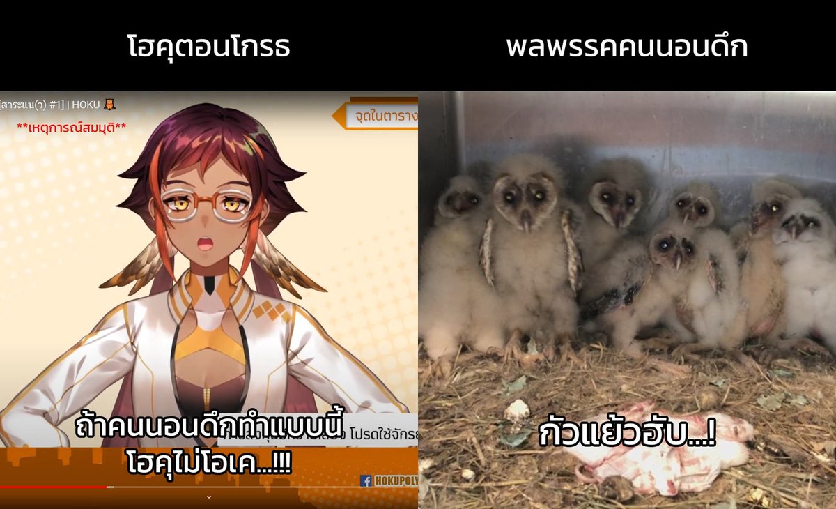 Grizzly_Hammer's tweet photo. เอาไปอัพลงกลุ่ม FB แล้ว แต่ลืมอัพขึ้นทวิตฯ
@PolygonHoku
#้HokuMeme #HootMeme #OwlMeme
เพิ่งเห็นว่ายังไม่มีแท็กมีม เลยตั้งแท็กใหม่เผื่อให้เลือกเลยดีกว่า https://t.co/cIuuYtdnk6