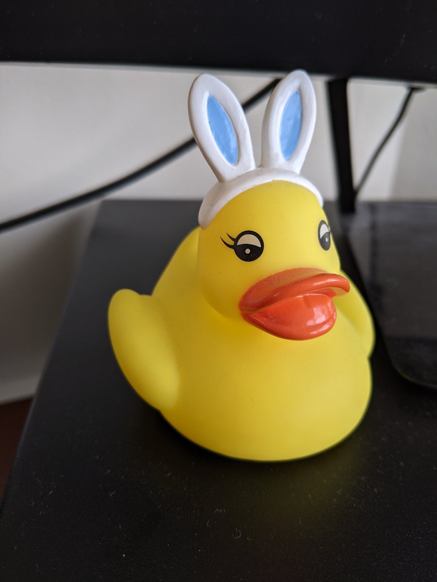 JessicaRGleason's tweet photo. Having some conversations with this bunny ears duck about my struggles with form validation this morning. https://t.co/ZnLkk3XQG9