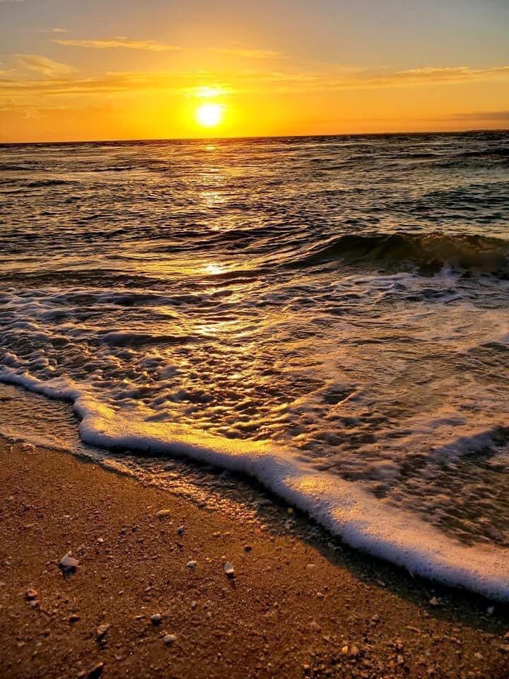 kimjusjen's tweet photo. We have victory over every situation and that includes this plandemic that has reaped havoc on our world by those that feel they are above God!! God will protect and provide for His children. Psalms 18:2 The Lord is my rock, my fortress and my deliverer; https://t.co/SxCaHXco9x