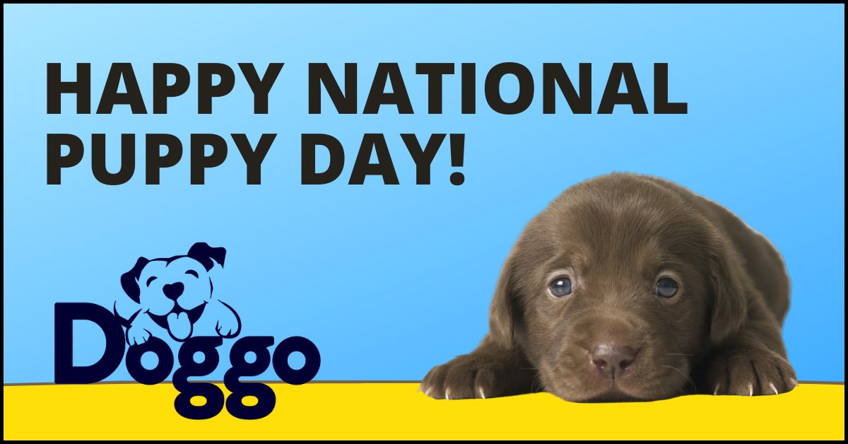 DoggoLLC's tweet image. #NationalPuppyDay