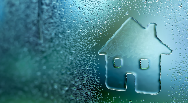thewindowdoc1's tweet photo. With this Yo-Yo weather, #MistedGlass is more prone to occurring. Luckily, we have a solution and also some tips to give you to help prevent this from happening https://t.co/U0MhjATGVa #CwmbranWindows #DoubleGlazing #UPVCWindows #WindowRepairs #LeakyWindows https://t.co/EFzNV1EH6z