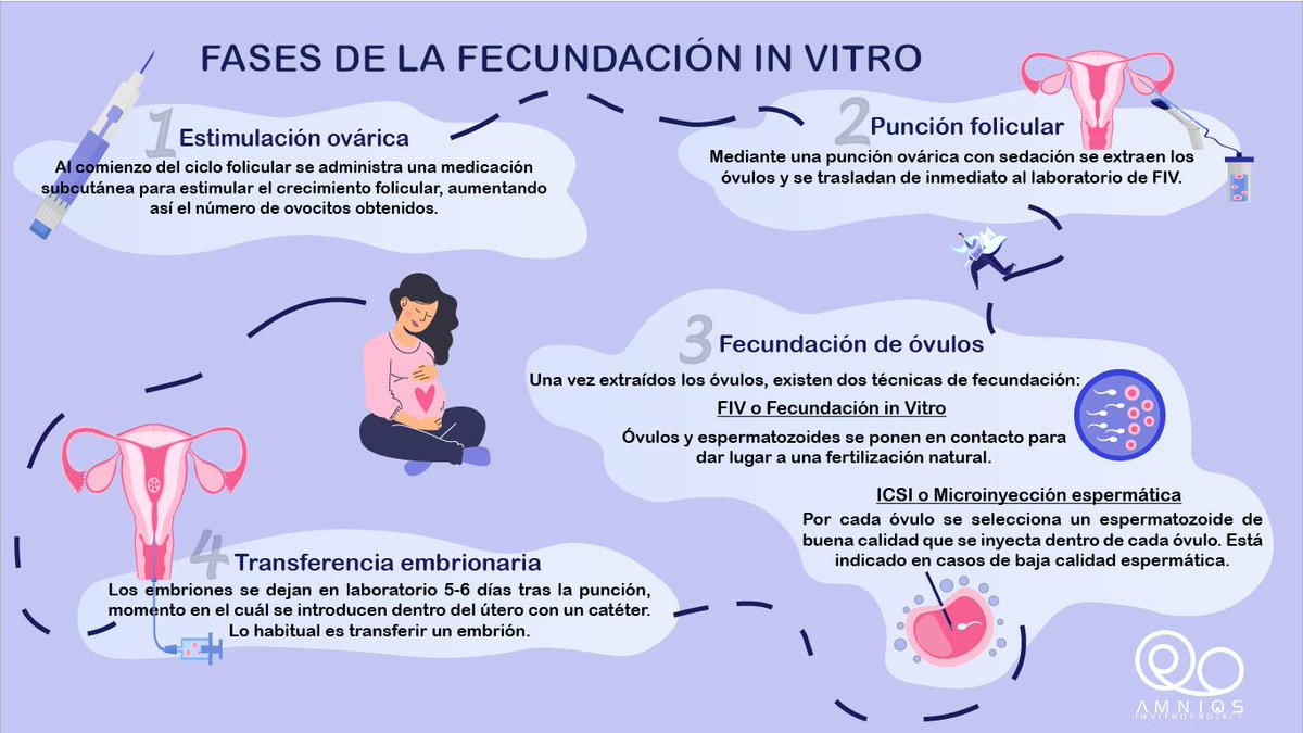 ¿Sabes cuáles son las fase de la #fecundacióninvitro 🔬?

Te dejamos esta infografía para que las tengas a mano 

▶▶ bit.ly/3frcw7m

#infertilpandy #reproducciónasistida