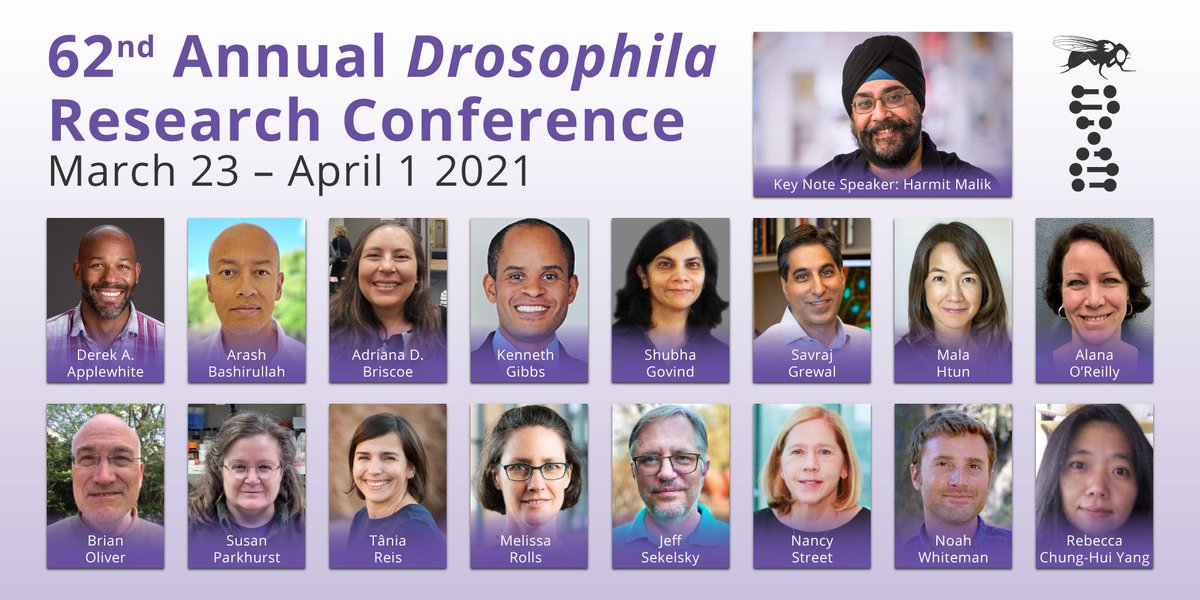 RusanLab's tweet image. After an entire year of planning, #Dros21 is here. Opening session starts at 11:00am Eastern. That&apos;s only 39 minutes from now 😟🙂